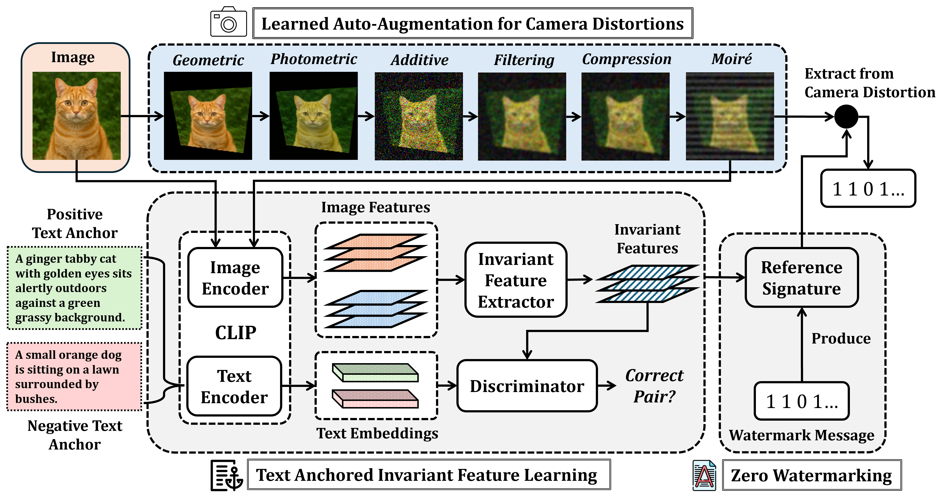 TIACam: Text-Anchored Invariant Feature Learning with Auto-Augmentation for Camera-Robust Zero-Watermarking