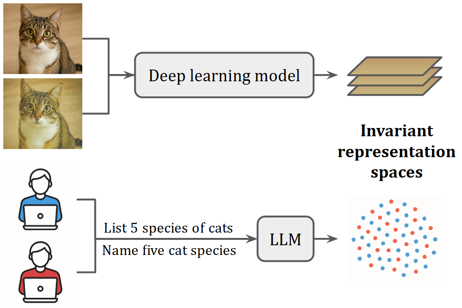 Invariant representation learning overview