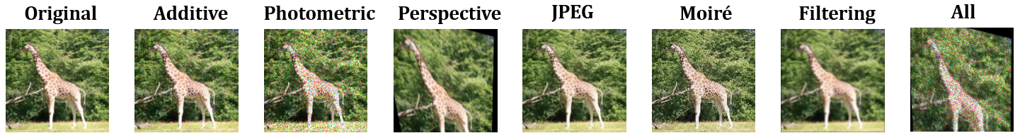 Invariant Feature Learning with Auto-Augmentation for Watermarking